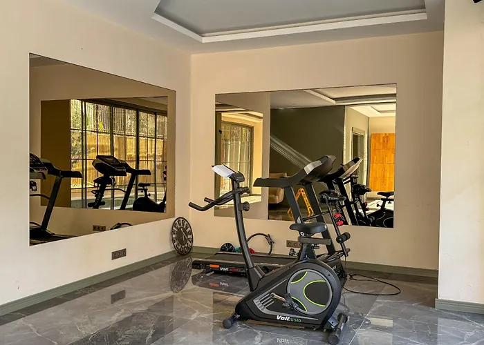 Qoople Smart 4 Cleopatra Family *